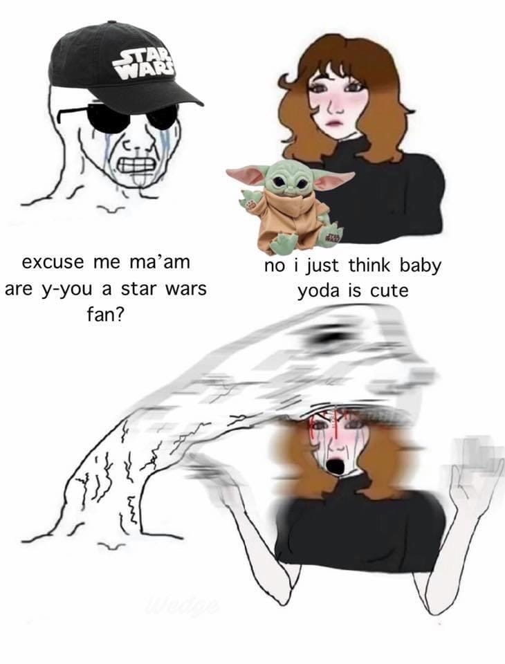 STAR WAR excuse me ma'am no i just think baby yoda is cute are y-you a star wars fan?
