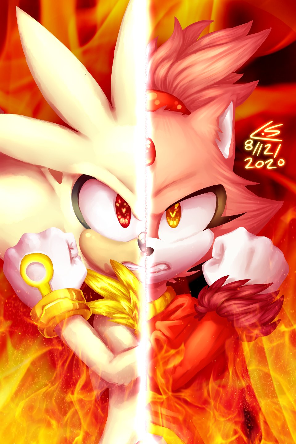 burning blaze the cat and super sonic