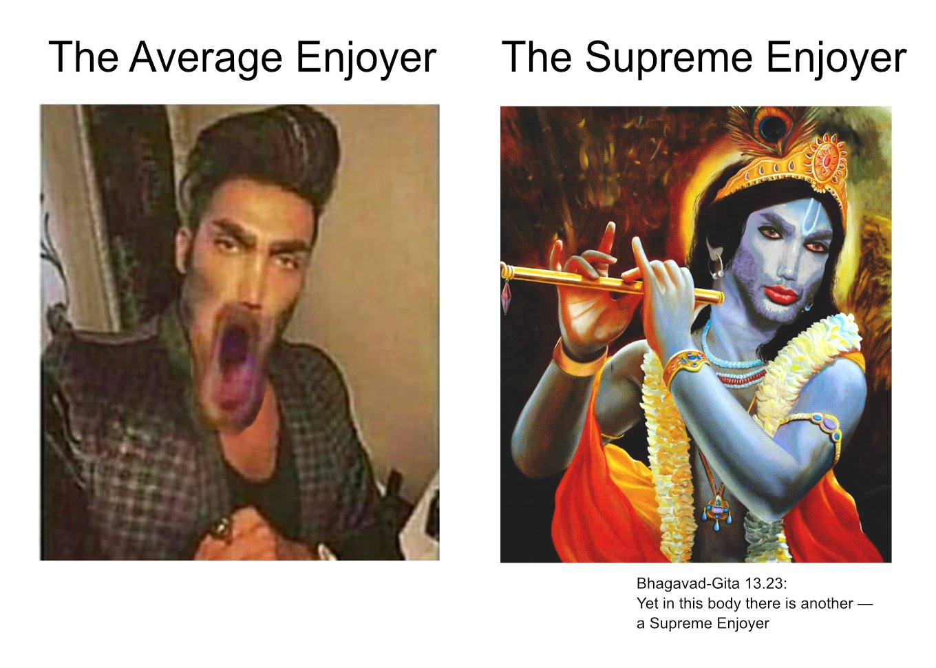 the-supreme-enjoyer-average-fan-vs-average-enjoyer-know-your-meme