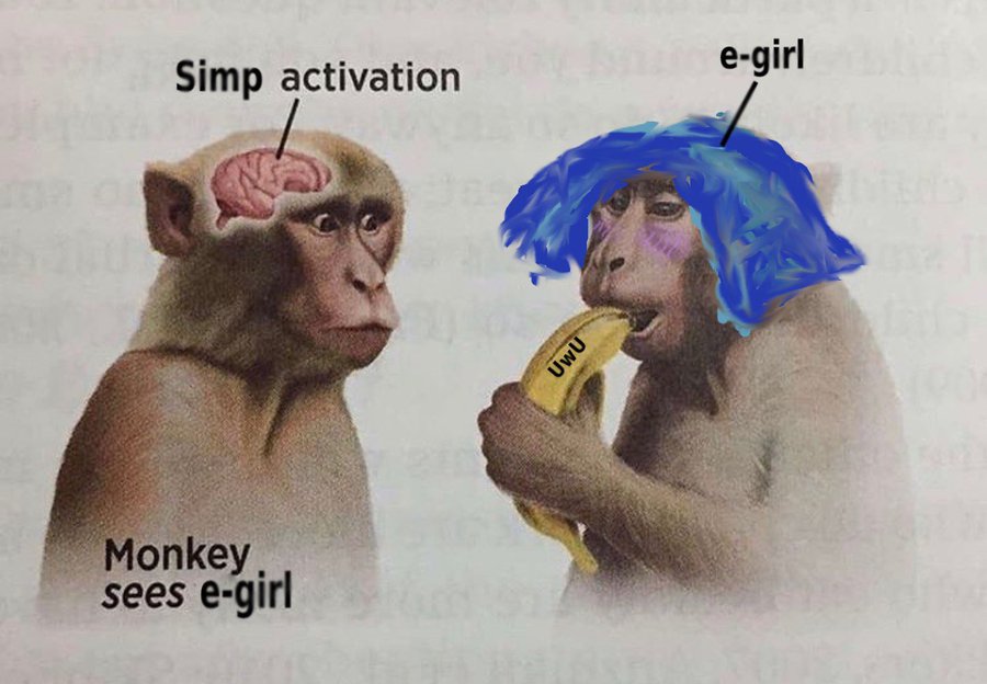 Simp activation e-girl Monkey sees e-girl UwU