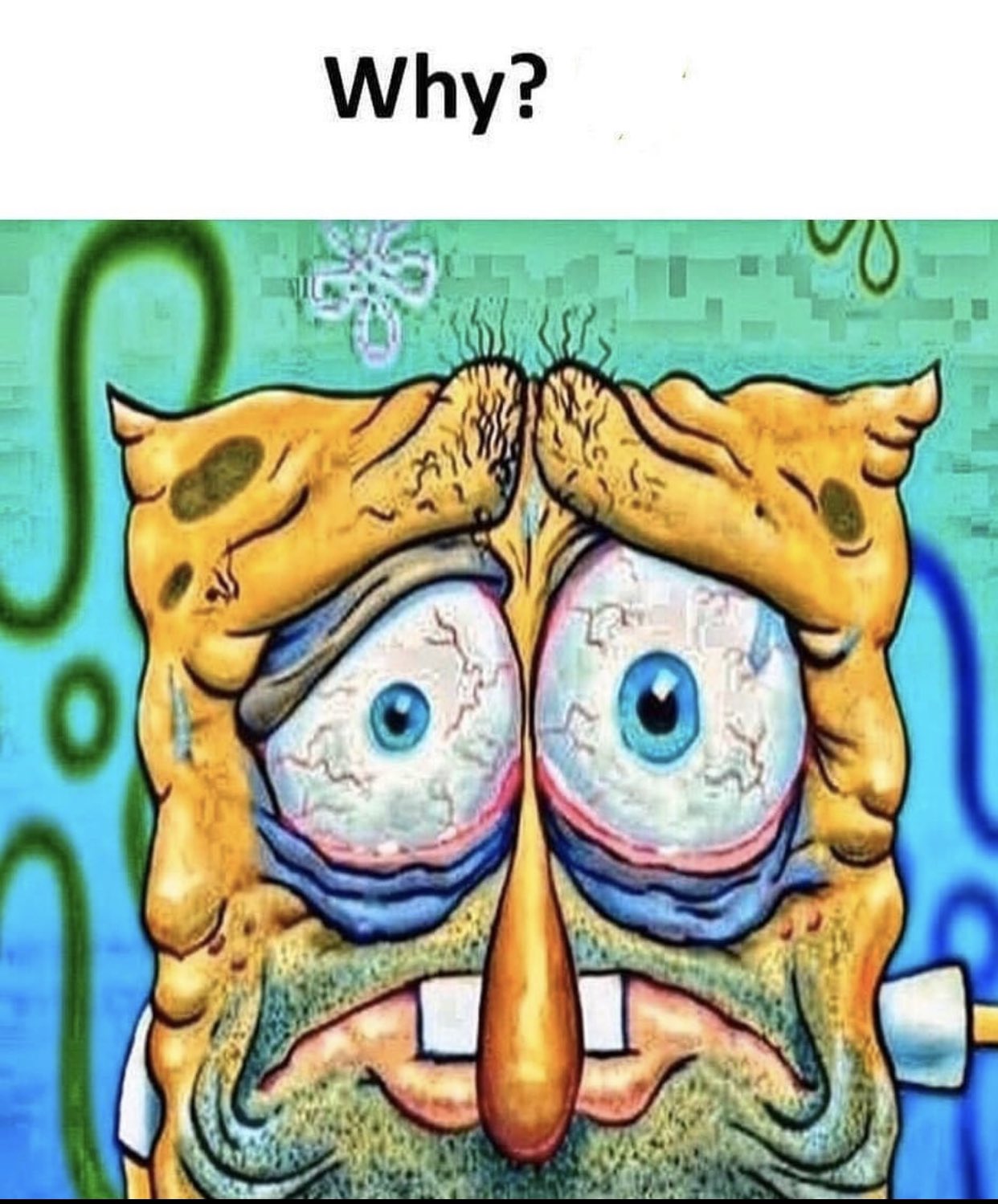Why Sleep Deprived SpongeBob Know Your Meme