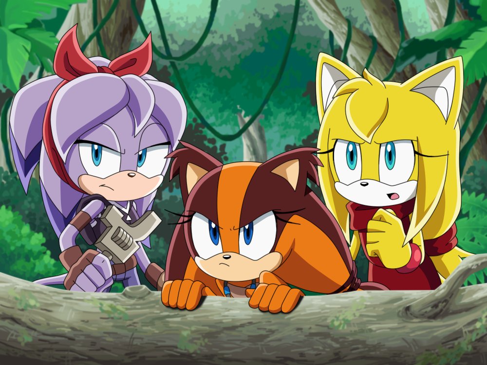 Sonic X Anime Characters - img-cahoots