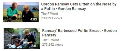 GordonRamsayPuffin.jpg