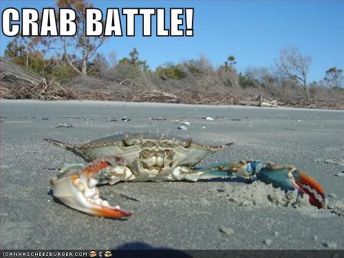 CRAB BATTLE! ICANHASCHEIZEURGER.COM