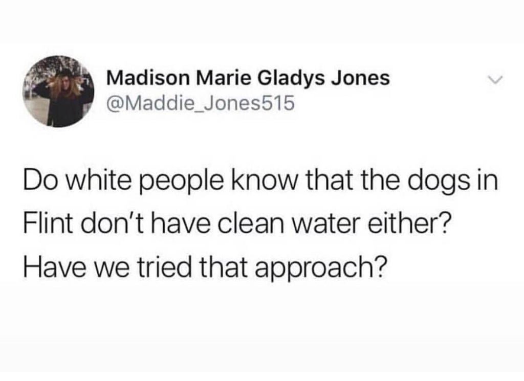 Madison Marie Gladys Jones @Maddie_Jones515 Do white people know that the dogs in Flint don't have clean water either? Have we tried that approach? <>