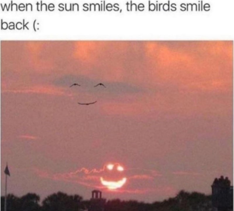 when the sun smiles, the birds smile back (: