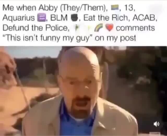 Me when Abby (They/Them), , 13, Aquarius E, BLM O, Eat the Rich, ACAB, Defund the Police, "This isn't funny my guy" on my post comments