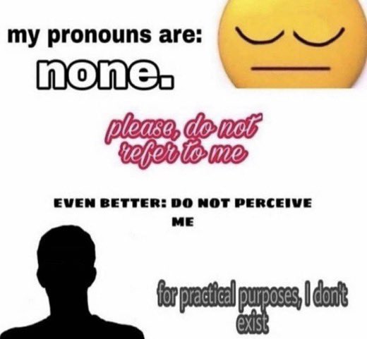 my pronouns are: none. pleasa, do not teferto me EVEN BETTER: DO NOT PERCEIVE ME for practital purposes, I dont exist