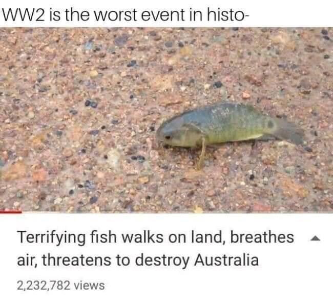 WW2 is the worst event in histo- Terrifying fish walks on land, breathes air, threatens to destroy Australia 2,232,782 views