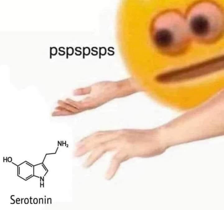 pspspsps NH, Но Serotonin