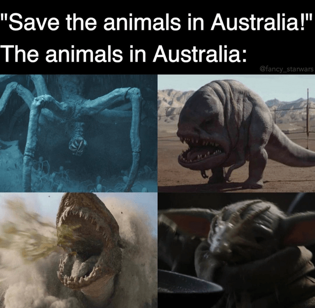 II "Save the animals in Australia!" The animals in Australia: @fancy_starwars