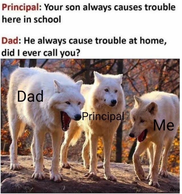 Principal: Your son always causes trouble here in school Dad: He always cause trouble at home, did I ever call you? Dad Principal Me