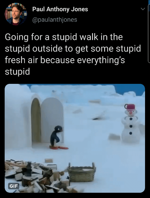 Paul Anthony Jones @paulanthjones Going for a stupid walk in the stupid outside to get some stupid fresh air because everything's stupid GIF