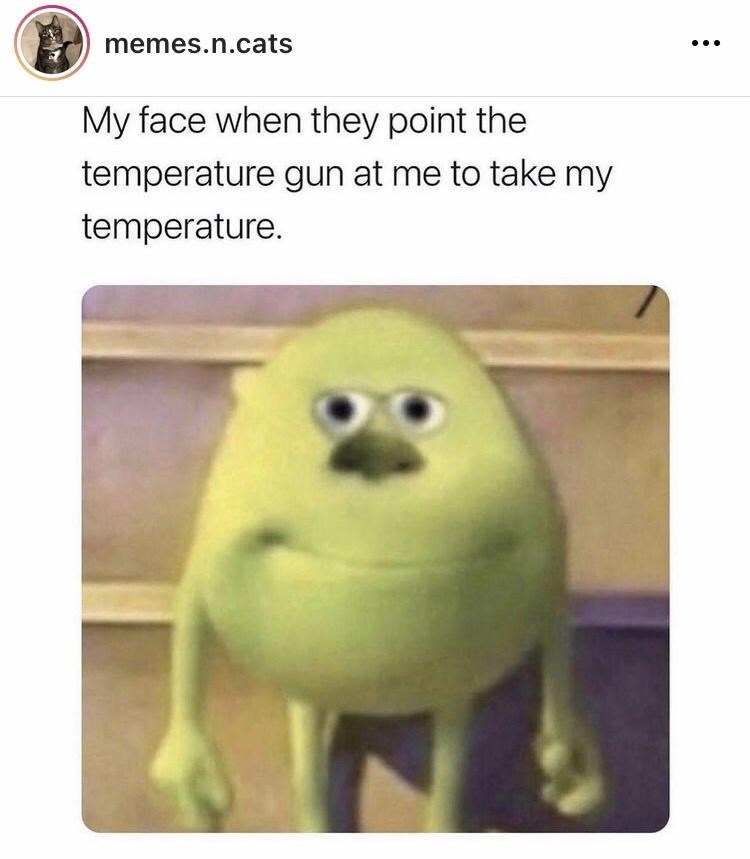 memes.n.cats My face when they point the temperature gun at me to take my temperature.