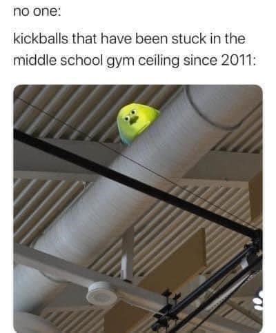 no one: kickballs that have been stuck in the middle school gym ceiling since 2011: