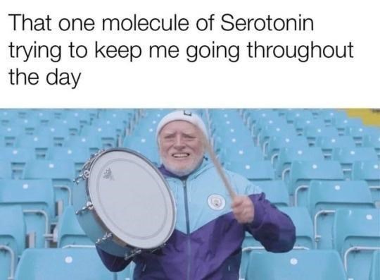 That one molecule of Serotonin trying to keep me going throughout the day