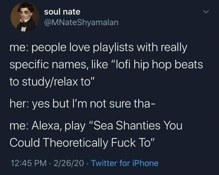 soul nate @MNateShyamalan me: people love playlists with really specific names, like "lofi hip hop beats to study/relax to" her: yes but I'm not sure tha- me: Alexa, play "Sea Shanties You Could Theoretically F--- To" 12:45 PM · 2/26/20 · Twitter for iPhone