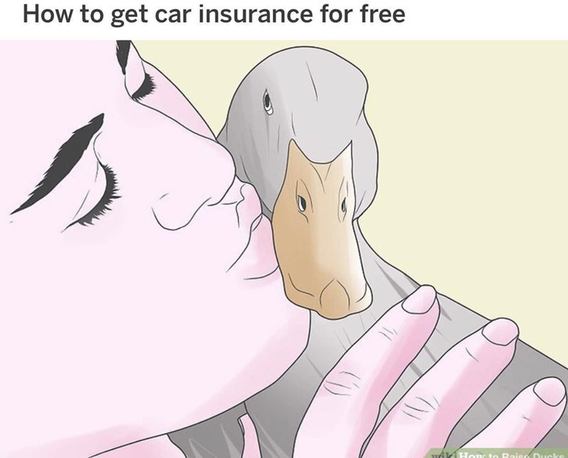 How to get car insurance for free to Rai