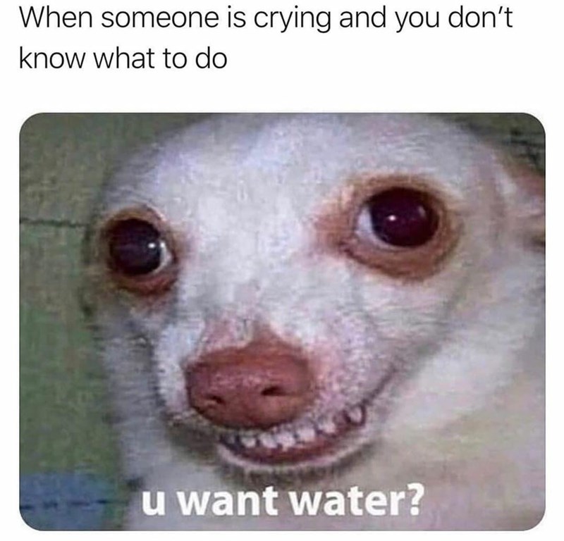 how do you know when a dog is crying