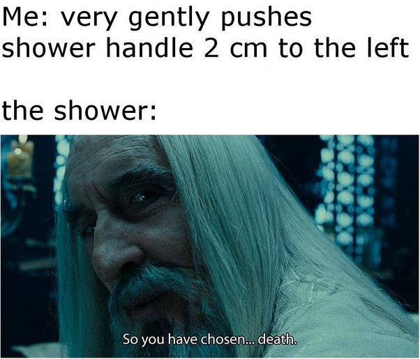 Me: very gently pushes shower handle 2 cm to the left the shower: So you have chosen.. death.