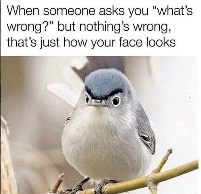 I'm Happy I Swear | Resting Bitch Face | Know Your Meme