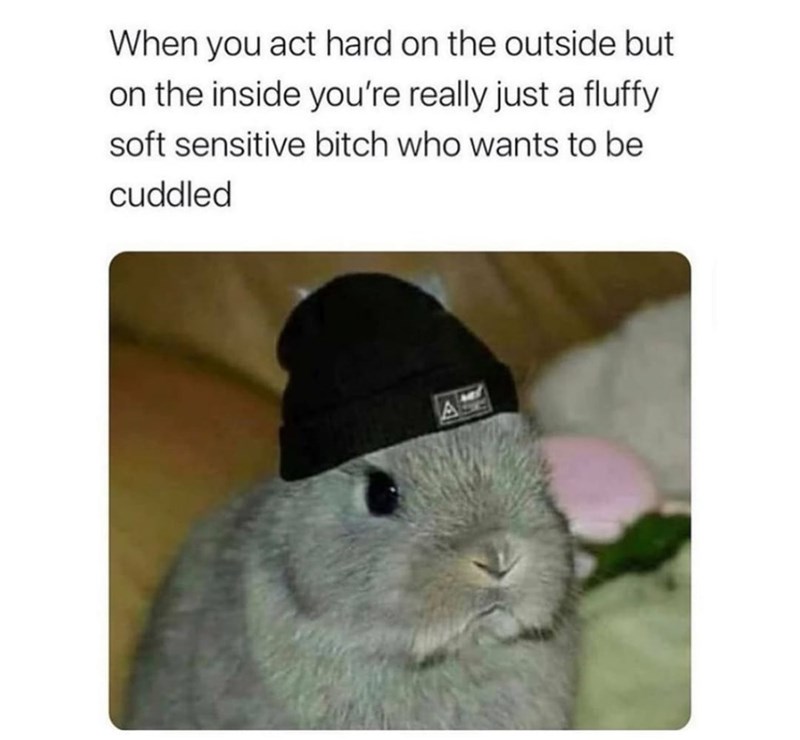 and what of it uwu | Rabbits | Know Your Meme