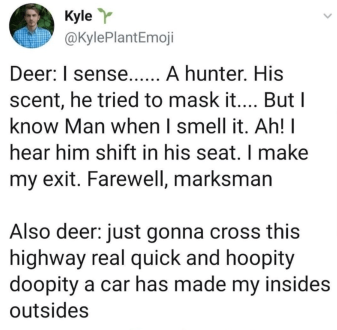 Kyle Y @KylePlantEmoji Deer: I sense.. A hunter. His scent, he tried to mask it.... But I know Man when I smell it. Ah! I hear him shift in his seat. I make my exit. Farewell, marksman Also deer: just gonna cross this highway real quick and hoopity doopity a car has made my insides outsides >