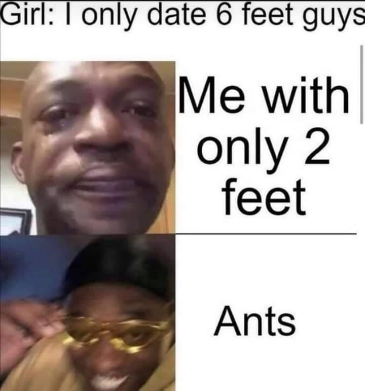 Girl: I only date 6 feet guys Me with only 2 feet Ants