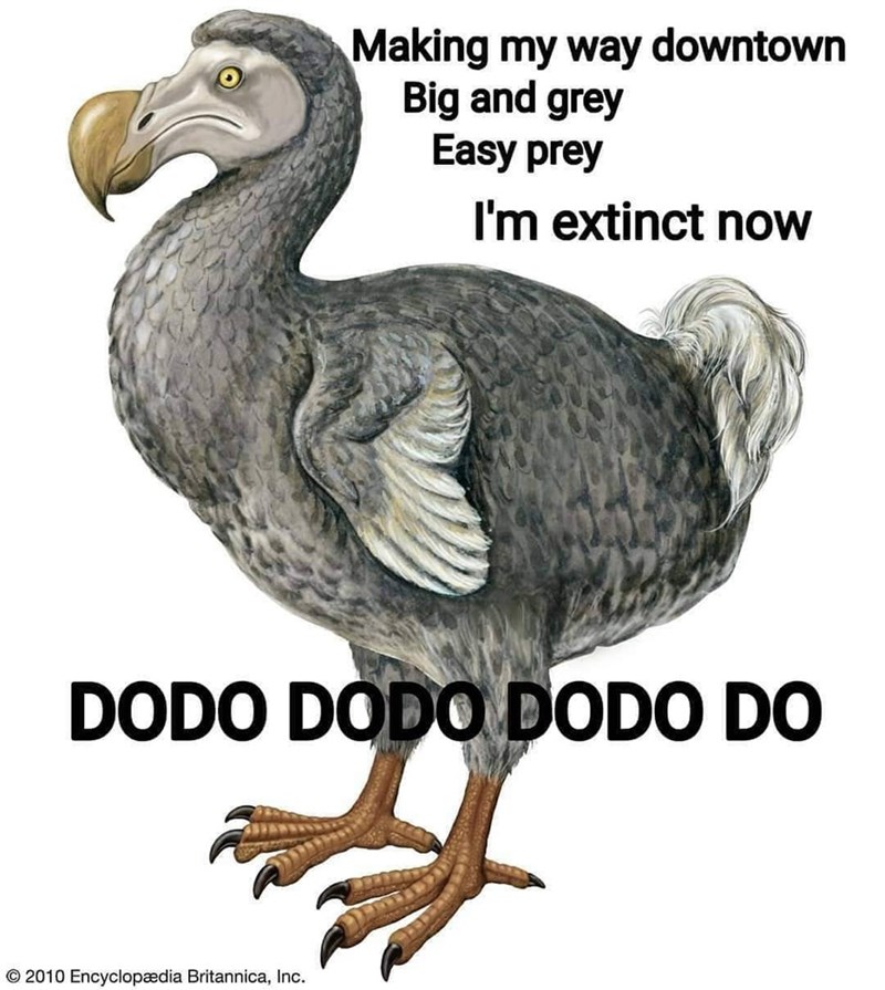 Making my way downtown Big and grey Easy prey I'm extinct now DODO DODO DODO DO © 2010 Encyclopædia Britannica, Inc.