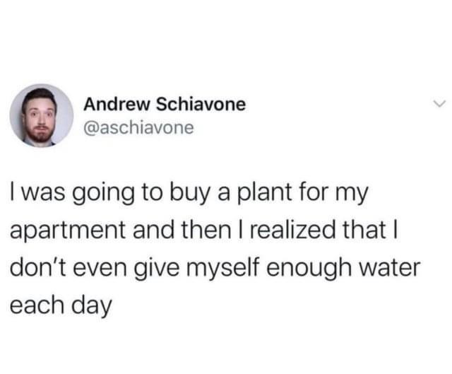 Andrew Schiavone @aschiavone I was going to buy a plant for my apartment and then I realized that I don't even give myself enough water each day