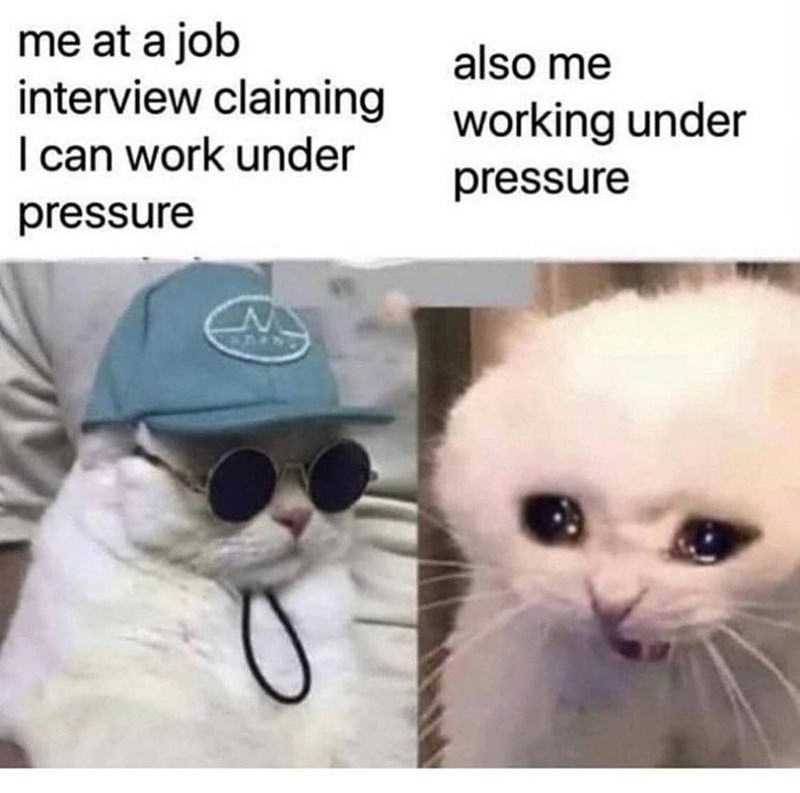 got a job meme