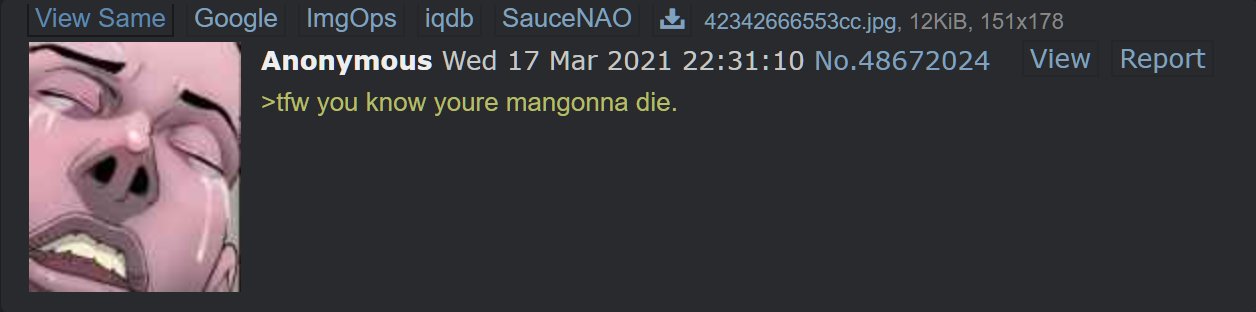 View Same Google ImgOps iqdb SauceNAO Ł 42342666553cc.jpg, 12KİB, 151x178 Anonymous Wed 17 Mar 2021 22:31:10 No.48672024 View Report >tfw you know youre mangonna die.