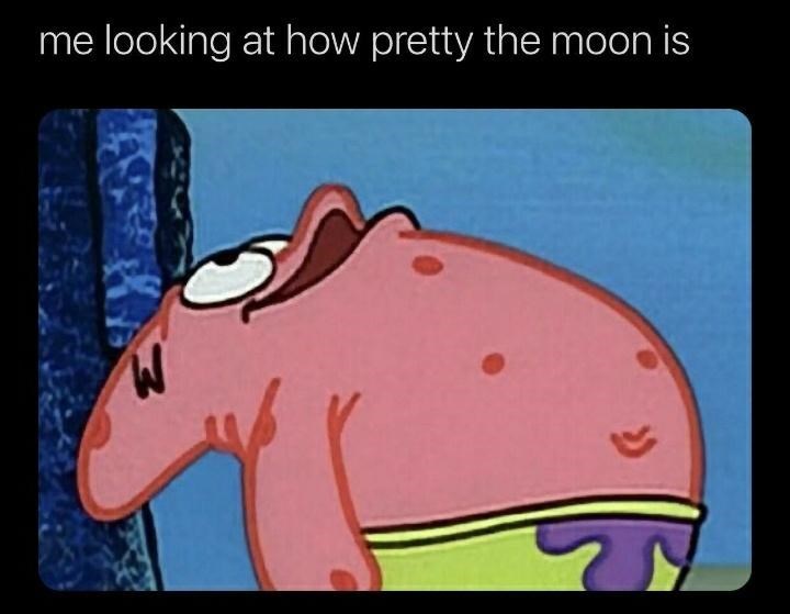 me looking at how pretty the moon is