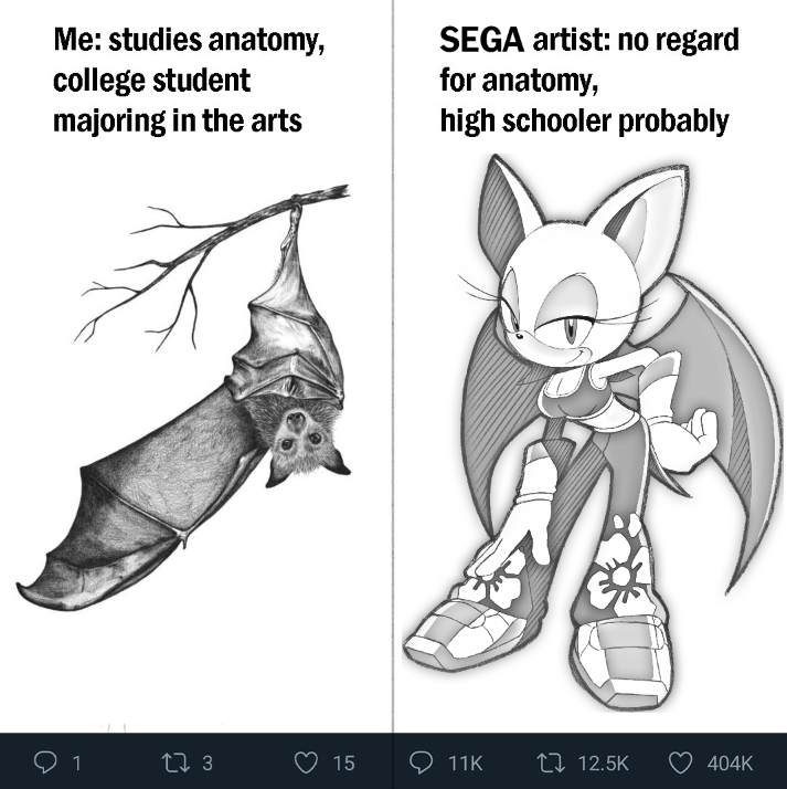 Me: studies anatomy, college student majoring in the arts SEGA artist: no regard for anatomy, high schooler probably 27 3 15 O 11K 27 12.5K 404K