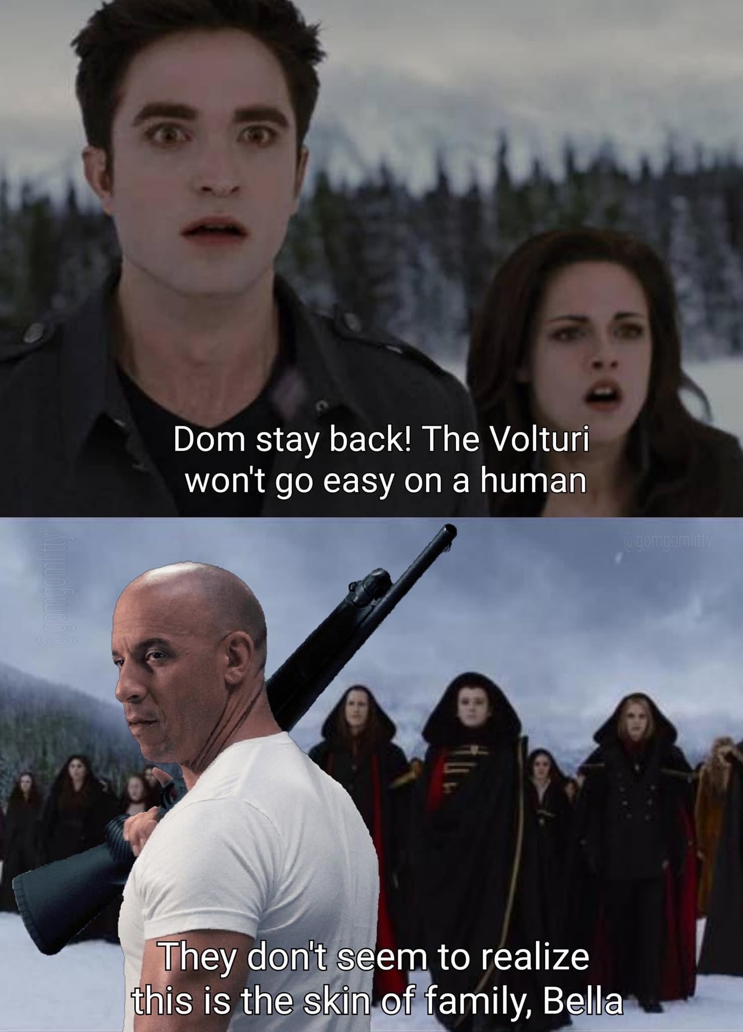 Dom stay back! The Volturi won't go easy on a human @gomgomity They don't seem to realize this is the skin of family, Bella