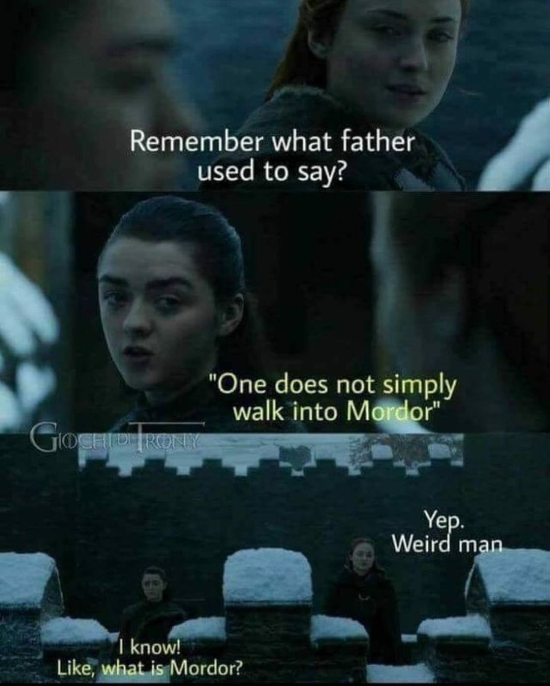 game of thrones meme cat 44 game of thrones meme cat 65