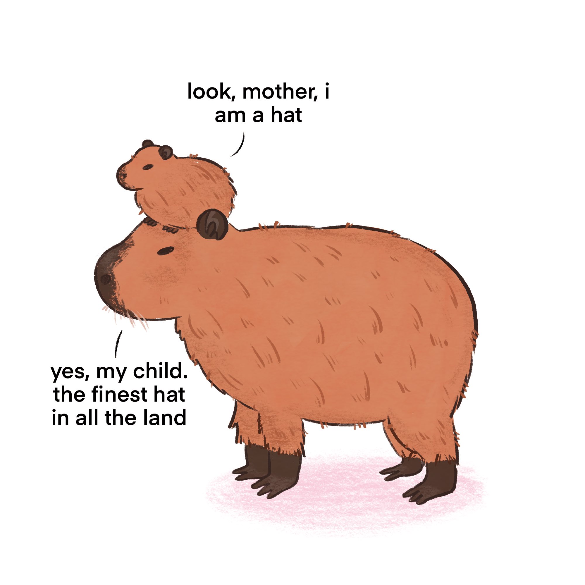 look, mother, i am a hat yes, my child. the finest hat in all the land