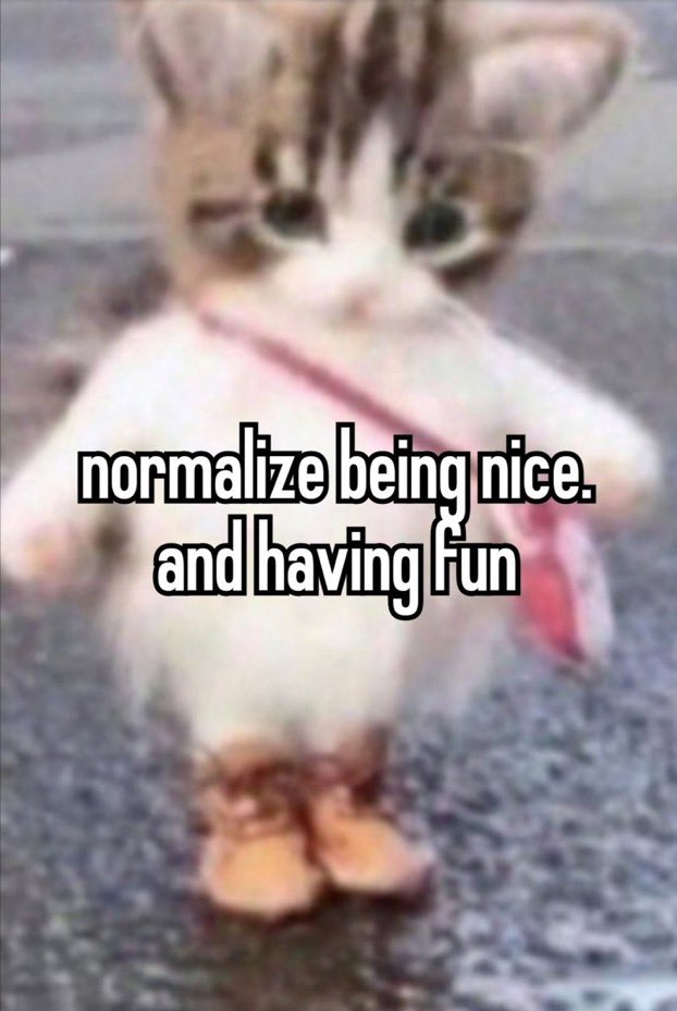 Normalize Being Nice And Having Fun Hehe Cat Know Your Meme 3794