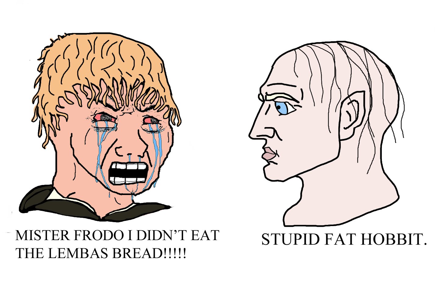 MISTER FRODO I DIDN'T EAT STUPID FAT HOBBIT. THE LEMBAS BREAD!!!!!