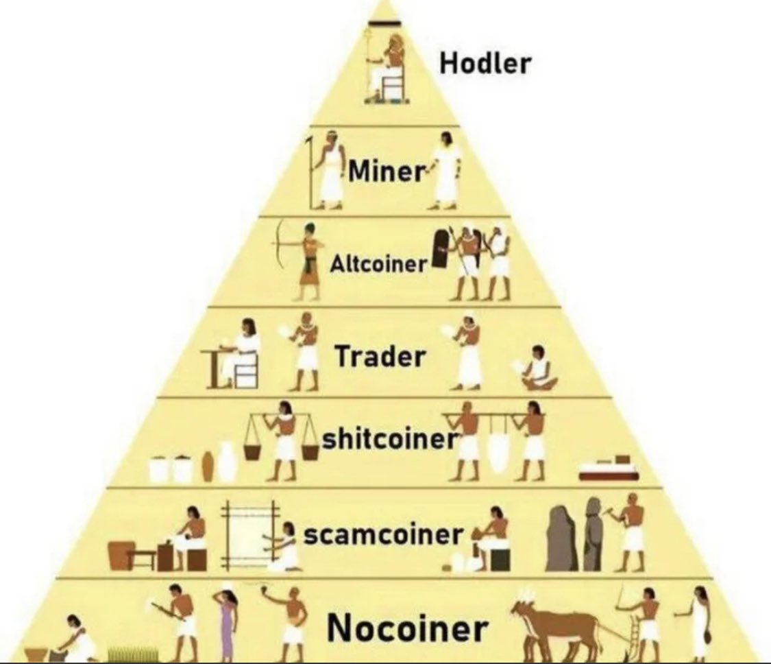 Hodler Miner Altcoiner Trader shitcoiner scamcoiner Nocoiner