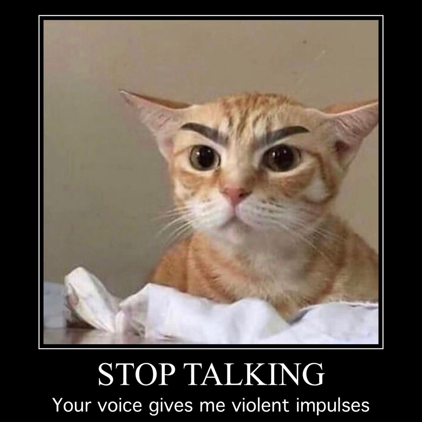 Stop Talking To Me Meme