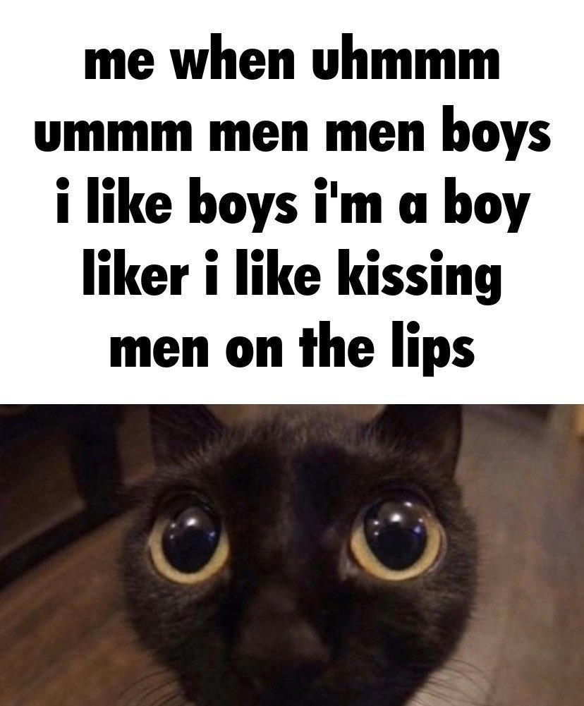 Me When Uhmmm Ummm Men Men Boys I Like Boys I'm a Boy Liker I'm a Boy