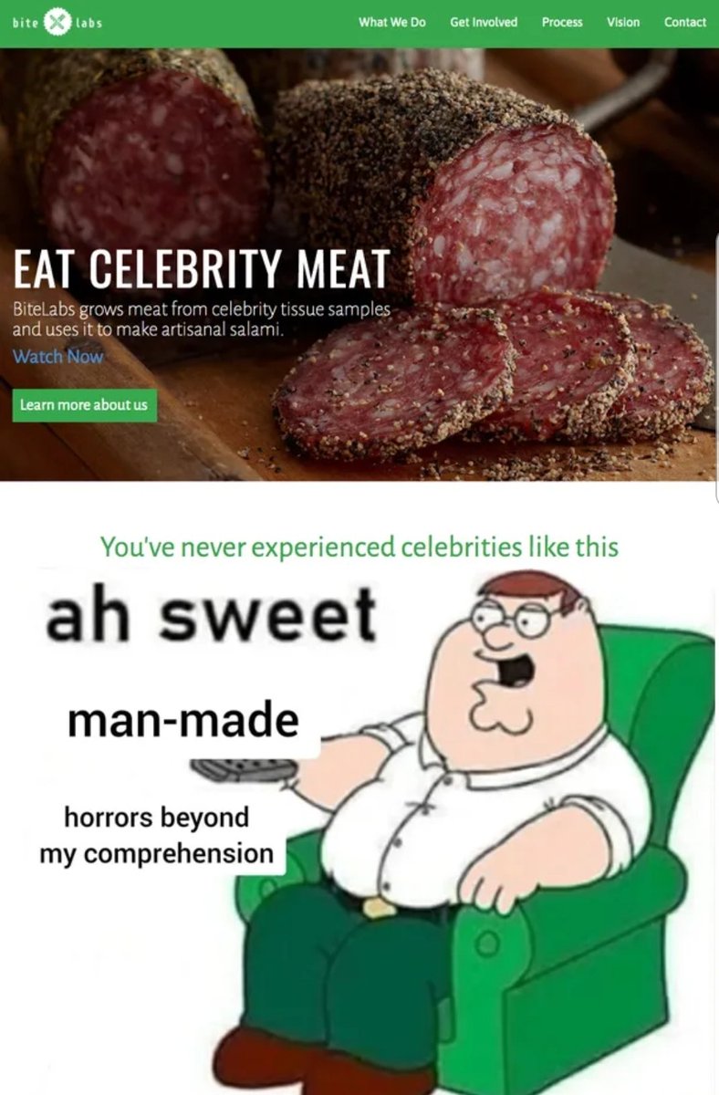 bite labs What We Do Get Involved Process Vision Contact EAT CELEBRITY MEAT Bitelabs grows meat from celebrity tissue samples and uses it to make artisanal salami. Watch Now Learn more about us You've never experienced celebrities like this ah sweet man-made horrors beyond my comprehension