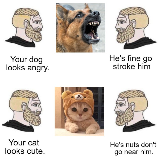 Dog Owners Vs Cat Owners r Memes Know Your Meme