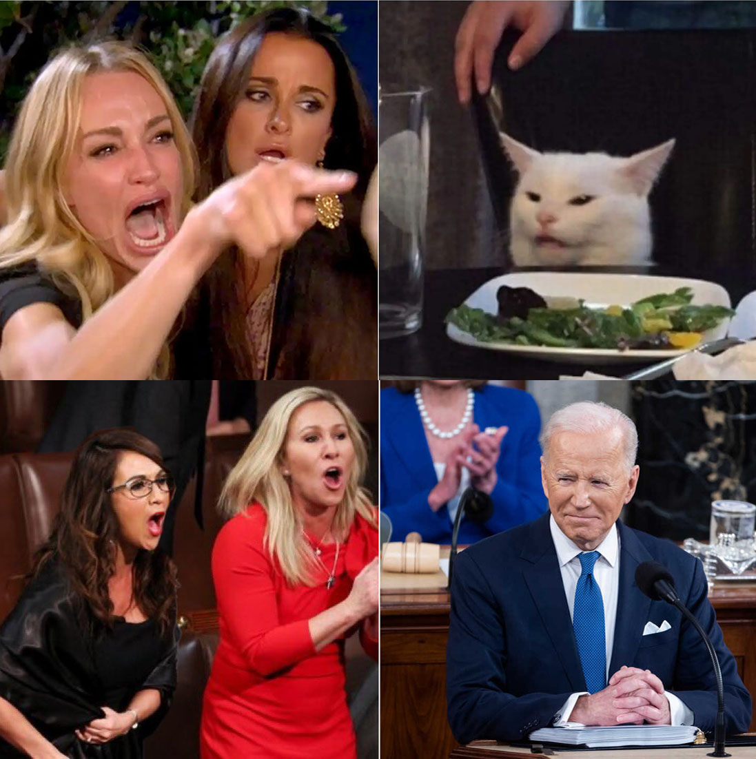 Same Energy 🤷🏾 #Sotu2022 | Woman Yelling At A Cat | Know Your Meme