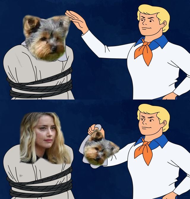 Amber Heard Revenge Poop meme