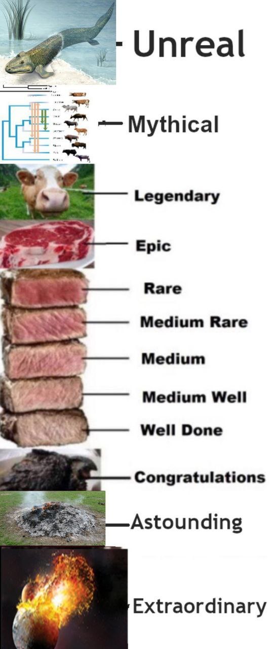 Steak Levels Full Chart Degrees Of Steak Doneness Steak