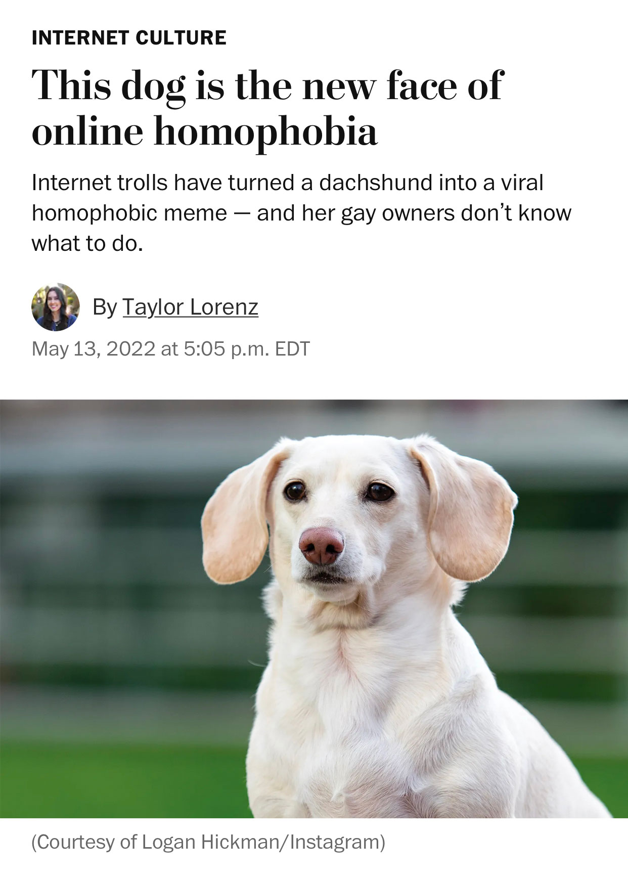 INTERNET CULTURE This dog is the new face of online homophobia Internet trolls have turned a dachshund into a viral homophobic meme — and her gay owners don't know what to do. By Taylor Lorenz May 13, 2022 at 5:05 p.m. EDT (Courtesy of Logan Hickman/Instagram)