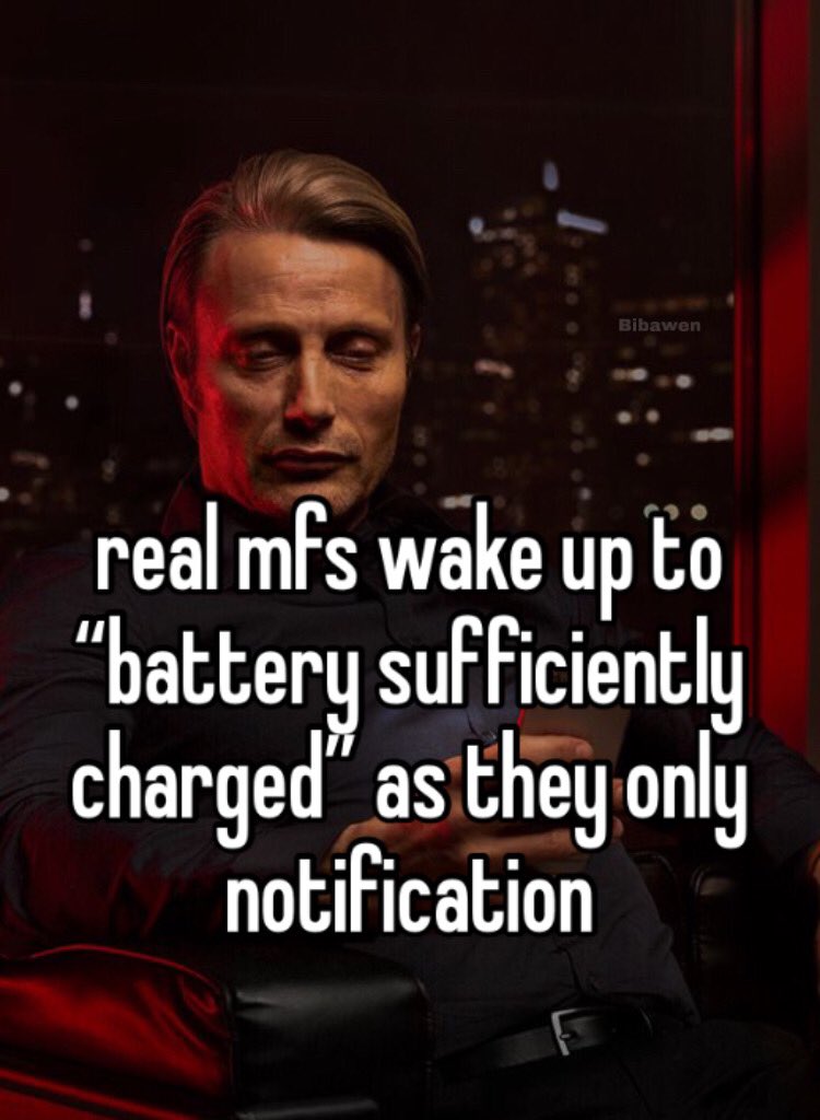 Bibawen real mfs wake up to "battery sufficiently charged" as they only notification