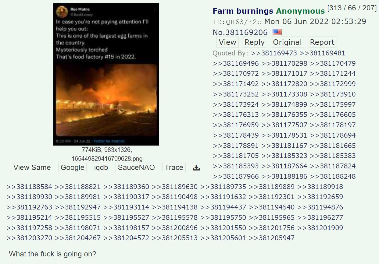 "What the f--- is going on?" | Food Processing Plants Fires Conspiracy ...